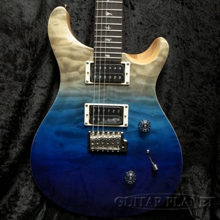 Paul Reed Smith(PRS SE) エレキギターとソフトケース Paul Reed Smith