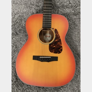 Morris F-021 CS (Cherry Sunburst) -Performers Edition-【小物6点セットサービス!】