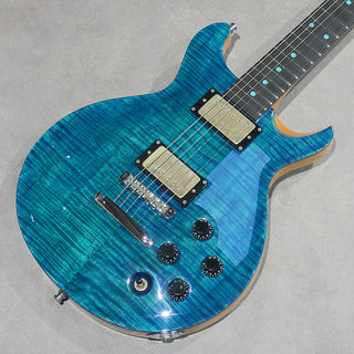 Altero Custom Guitars Mag シリアル1桁 Altero Custom Guitarsの検索結果【楽器検索デジマート】