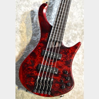 Ibanez EHB1505 -SWL  #I 241104809  【3.45kg】Stained Wine Red Low Gloss【5弦】