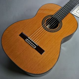 ASTURIAS プレリュードC 650 現物写真