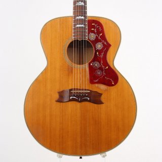 アコースティックギター、Gibson、J-200の検索結果【楽器検索