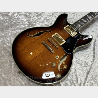 エレクトリックギター ＞ セミアコ、Ibanezの検索結果【楽器検索