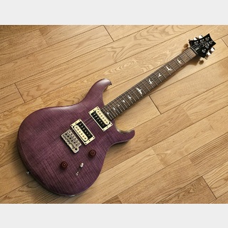 Paul Reed Smith(PRS) SE Custom 24 