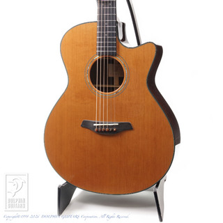 アコースティックギター／エレクトリック・アコースティックギター