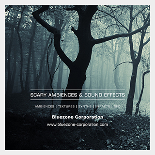 BLUEZONESCARY AMBIENCES AND SOUND EFFECTS