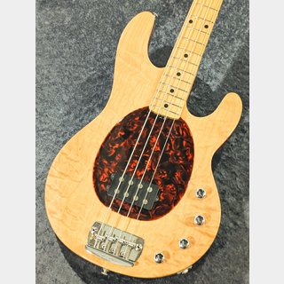 MUSIC MAN Stingray 4st 20th Anniversary【4.25kg】【20周年限定モデル】【状態良好】