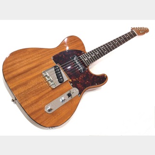 Tokai ATE103S N/R【カタログ外モデル】【日本製】