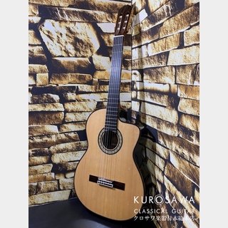 エレクトリック・アコースティックギター、Takamineの検索結果【楽器