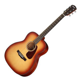 アコースティックギター／エレクトリック・アコースティックギター