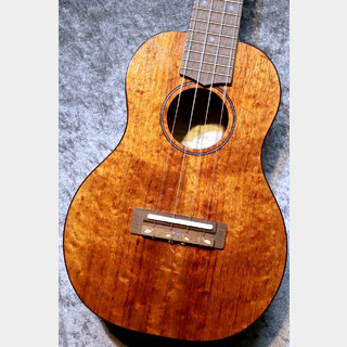 FUJIGEN(FGN) 【G-CLUB UMEDA オープン記念セール】FUS-TC-02 #24A0007【コンサート】【池袋店在庫品】