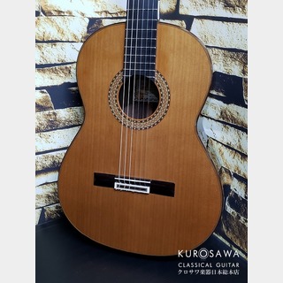 Juan Alvarezの検索結果【楽器検索デジマート】