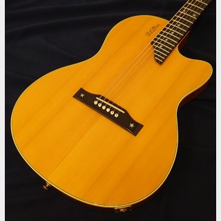 Gibson Chet Atkins signature model '93