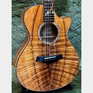 Taylor 【Hand Picked】Custom GC Koa -Tree- #1205294117【48回迄金利0%対象】【送料当社負担】