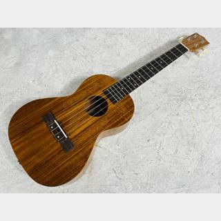 アコースティックギター S.YAIRI SYD50N ひょうたん型 S.Yairiの検索