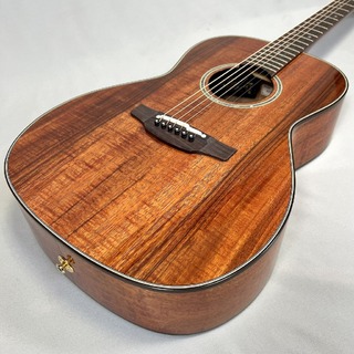 アコースティックギター、Takamineの検索結果【楽器検索デジマート】