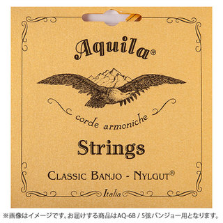 Aquila6B Nylgut String 5弦バンジョー用 ライトゲージ AQ-6Bバンジョー弦