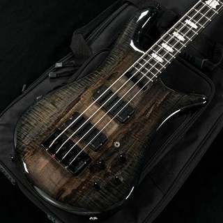 Spector Spector Euro4 LT Limited Edition Faded Black Gloss 【渋谷店】