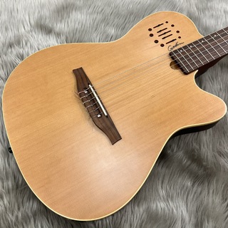 Godin MultiacNylonEnco