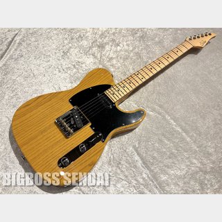 Suhr Classic T / Trans Butterscotch【即納可能】