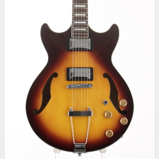 エレクトリックギター ＞ セミアコ、Ibanezの検索結果【楽器検索