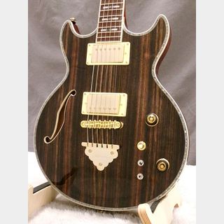 エレクトリックギター ＞ セミアコ、Ibanezの検索結果【楽器検索