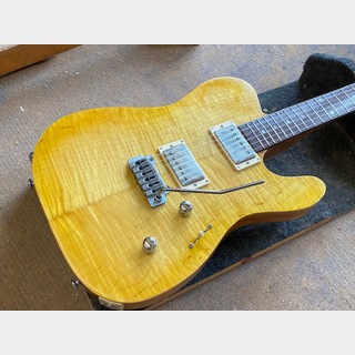 Kigoshi Custom Guitar KT Pro-AJM