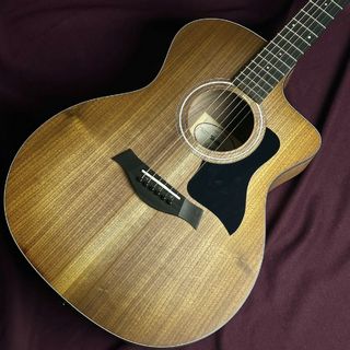 Taylor 124ce 124ce Special Edition Walnut Top【現物画像】