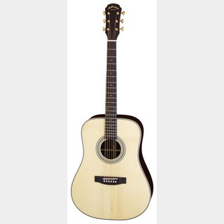 ARIA AD-515 N アコースティックギター