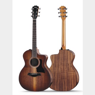 Taylor124ce Special Edition