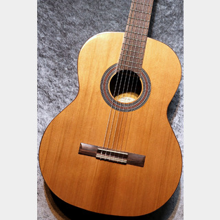 Orpheus Valley Guitars 【小物6点サービス!】Fiesta F65C 杉 / ローズウッド #041【柔らか音色個体】【現物写真】【池袋店在庫品】