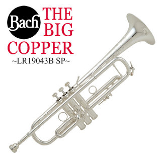 Bach BIGCOPPER バック LR19043B SP ビッグコパー シルバーメッキ仕上げ B♭トランペット 【WEBSHOP】