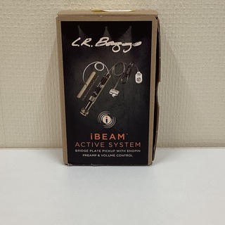 L.R.Baggs iBEAM ACTIVE 【現物画像】