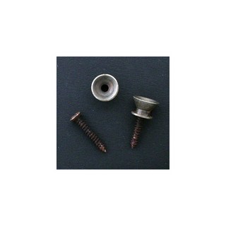 Montreux Retrovibe Parts Series F Strap pin set relic (2)[227]