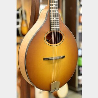 Eastman PCH-M104 Goldburst