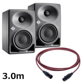 NEUMANN、KH 80 DSPの検索結果【楽器検索デジマート】
