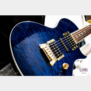 GibsonThe Nighthawk Standard / 2012