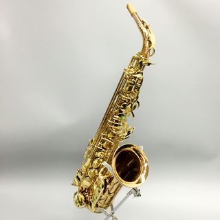 FESTI 【中古・未調整】A1800