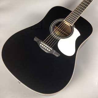 JamesJ-500L BLK エレアコ アジャスタブルサドル搭載 簡単弦高調整 ドレッドノート アコースティックギター【現