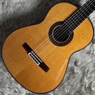 VICENTE CARRILLO Gabriala II/C