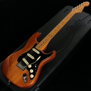 Fender American Professional II Stratocaster Roasted Pine  [3.32kg]【池袋店】