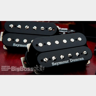 Seymour DuncanAlex Skolnick HB SET / Uncovered