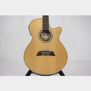 Takamine TSP138C