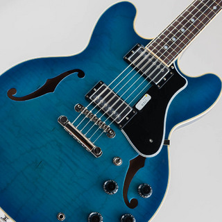 FUJIGEN(FGN) MSA-HP/BBT