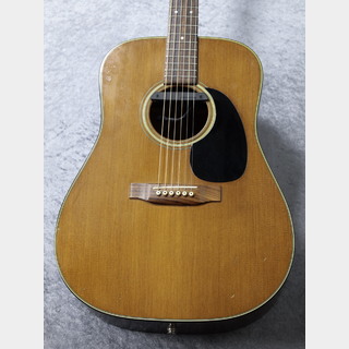 Martin D-19 1977年製【Vintage】