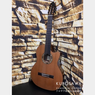 Orpheus Valley Guitars Orpheus Valley F65CW-7S 7弦 エレガット 杉・ローズ【日本総本店2F 在庫品】