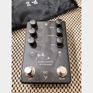 ONE CONTROL Beth Reverb