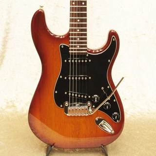 G&L Tribute Series S-500