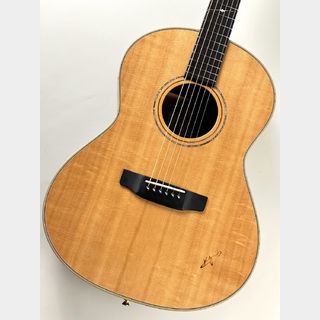 アコースティックギター／エレクトリック・アコースティックギター