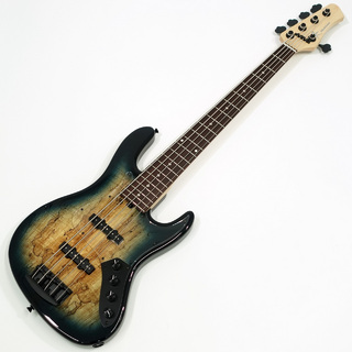 Kikuchi Guitars Custom 5st J Bass / Spalted Maple Top / Trans Blue Black Burst #64